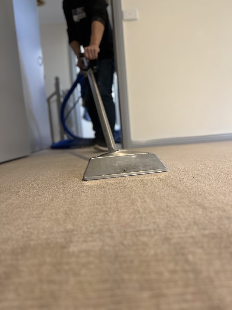 Professional End of lease cleaning carpet cleaner using a steam cleaner on beige carpet in a residential hallway.