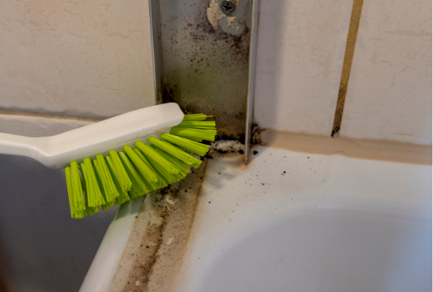 How to Clean Shower Grout using a stiff brush on moldy bathroom tiles